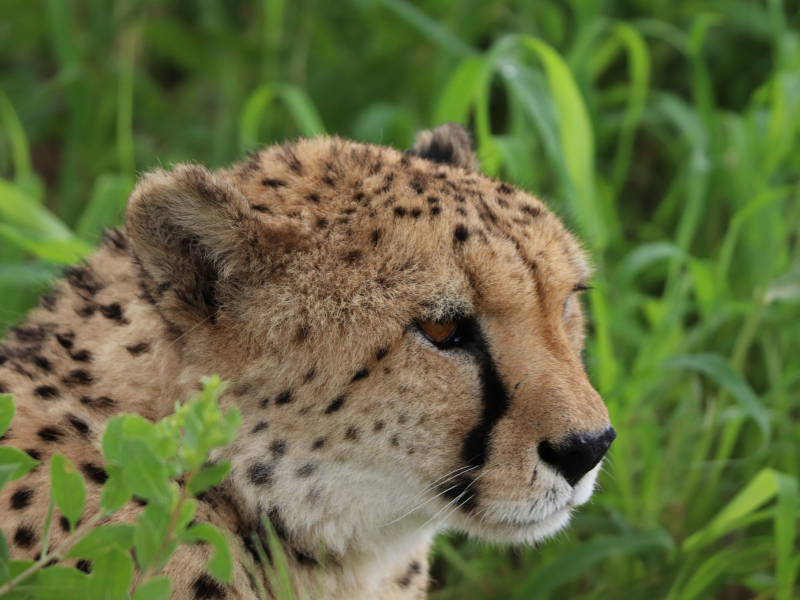 The Best of Namibia — 17